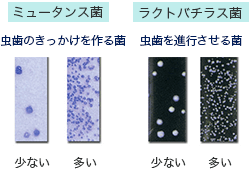 当院で実施する検査